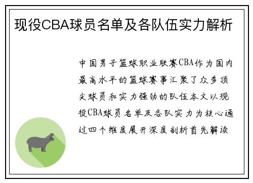 现役CBA球员名单及各队伍实力解析